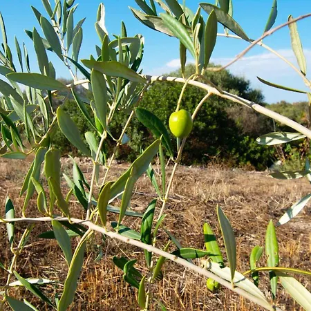 Monolocale E Bilocale Sostenibili In Campagna, Non Lontani Dal Mare Apartment Golfo Aranci
